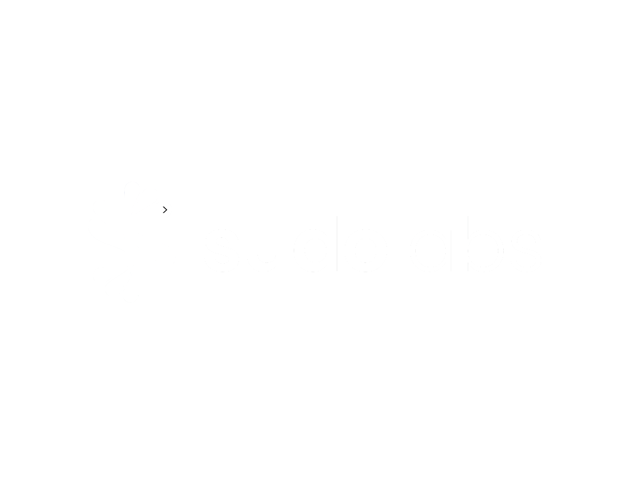 SudoLabs Logo