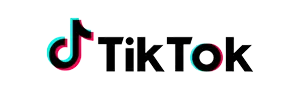 TikTok Partner